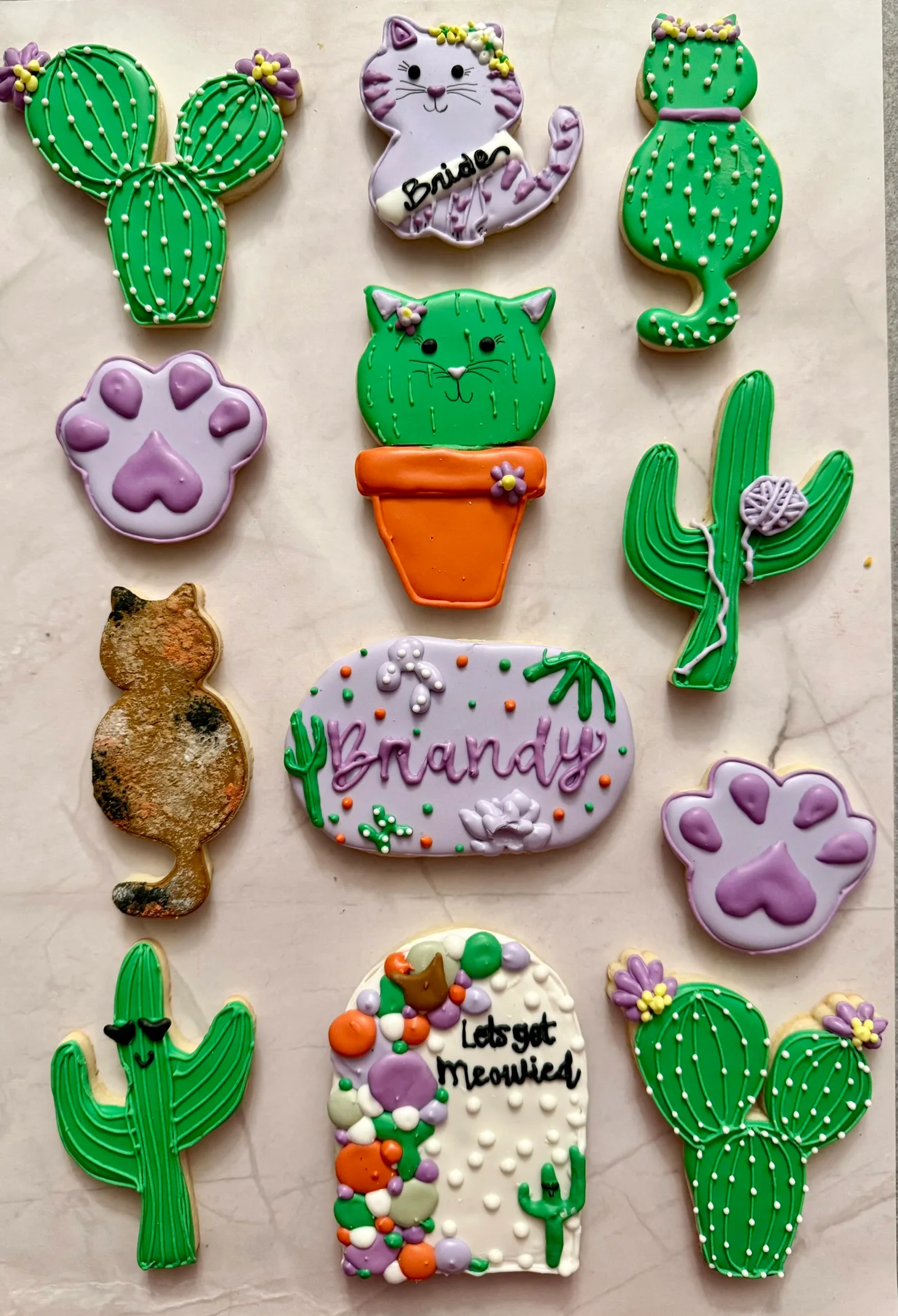 Bridal shower — cats, cacti & “Lets get Meowried”